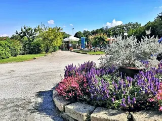 Le aiuole fiorite lungo il viale